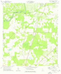 Download a high-resolution, GPS-compatible USGS topo map for Baconton South, GA (1976 edition)