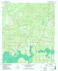 Download a high-resolution, GPS-compatible USGS topo map for Beachton, GA (1998 edition)