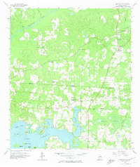 Download a high-resolution, GPS-compatible USGS topo map for Beachton, GA (1974 edition)