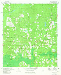 Download a high-resolution, GPS-compatible USGS topo map for Beachton, GA (1982 edition)