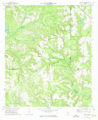 preview thumbnail of historical topo map of Stewart County, GA in 1972