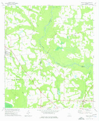 preview thumbnail of historical topo map of Brooks County, GA in 1974