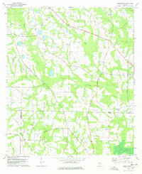 Download a high-resolution, GPS-compatible USGS topo map for Berlin West, GA (1978 edition)