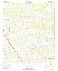 preview thumbnail of historical topo map of Turner County, GA in 1973