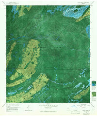 Download a high-resolution, GPS-compatible USGS topo map for Billys Island, GA (1967 edition)
