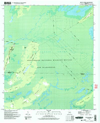 Download a high-resolution, GPS-compatible USGS topo map for Billys Island, GA (1994 edition)