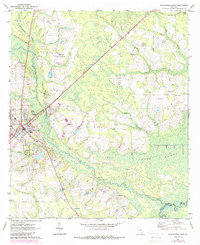Download a high-resolution, GPS-compatible USGS topo map for Blackshear East, GA (1988 edition)