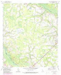 Download a high-resolution, GPS-compatible USGS topo map for Blackshear West, GA (1988 edition)
