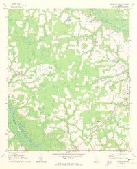 preview thumbnail of historical topo map of Pierce County, GA in 1971