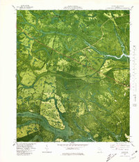 Download a high-resolution, GPS-compatible USGS topo map for Bladen, GA (1980 edition)