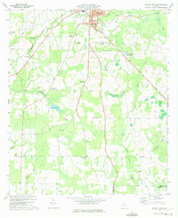 preview thumbnail of historical topo map of Early County, GA in 1973