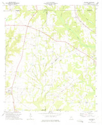 Download a high-resolution, GPS-compatible USGS topo map for Bluffton, GA (1975 edition)