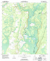 Download a high-resolution, GPS-compatible USGS topo map for Boons Lake, GA (1995 edition)