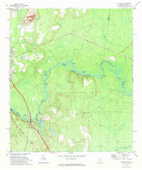 preview thumbnail of historical topo map of Camden County, GA in 1970