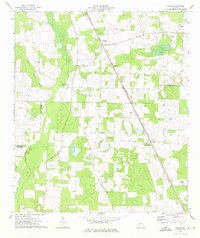 Download a high-resolution, GPS-compatible USGS topo map for Boykin, GA (1976 edition)