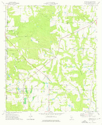 preview thumbnail of historical topo map of Worth County, GA in 1974