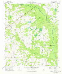 Download a high-resolution, GPS-compatible USGS topo map for Bronwood, GA (1975 edition)