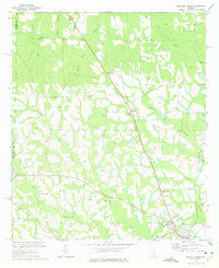 1972 Map of Irwin County, GA, 1975 Print