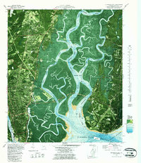 Download a high-resolution, GPS-compatible USGS topo map for Brunswick East, GA (1987 edition)