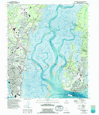 Download a high-resolution, GPS-compatible USGS topo map for Brunswick East, GA (1995 edition)