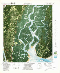 Download a high-resolution, GPS-compatible USGS topo map for Brunswick East, GA (1980 edition)