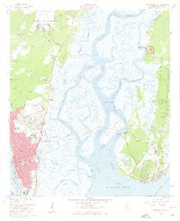 preview thumbnail of historical topo map of Glynn County, GA in 1956