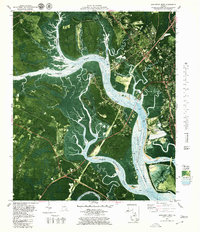 Download a high-resolution, GPS-compatible USGS topo map for Brunswick West, GA (1980 edition)