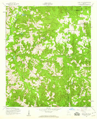Download a high-resolution, GPS-compatible USGS topo map for Buena Vista NW, GA (1959 edition)