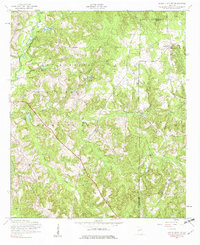 Download a high-resolution, GPS-compatible USGS topo map for Buena Vista NW, GA (1973 edition)