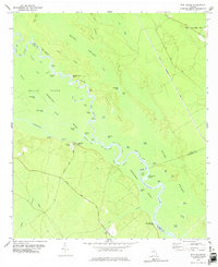 Download a high-resolution, GPS-compatible USGS topo map for Bug Island, GA (1978 edition)
