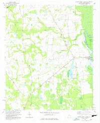 preview thumbnail of historical topo map of Screven County, GA in 1978