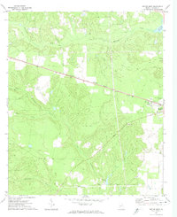 Download a high-resolution, GPS-compatible USGS topo map for Butler West, GA (1974 edition)