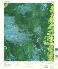 Download a high-resolution, GPS-compatible USGS topo map for Chase Prairie, GA (1967 edition)