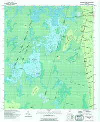 Download a high-resolution, GPS-compatible USGS topo map for Chesser Island, GA (1994 edition)