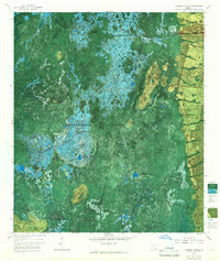 preview thumbnail of historical topo map of Ware County, GA in 1965