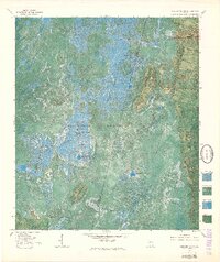 preview thumbnail of historical topo map of Ware County, GA in 1965