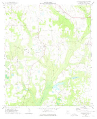 preview thumbnail of historical topo map of Terrell County, GA in 1973