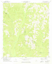 Download a high-resolution, GPS-compatible USGS topo map for Church Hill, GA (1974 edition)