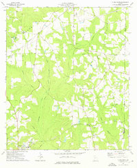 Download a high-resolution, GPS-compatible USGS topo map for Climax South, GA (1976 edition)