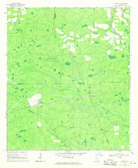 1968 Map of Atkinson County, GA, 1970 Print