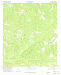 Download a high-resolution, GPS-compatible USGS topo map for Coleman, GA (1975 edition)