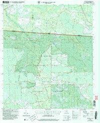 Download a high-resolution, GPS-compatible USGS topo map for Council, GA (2007 edition)