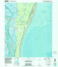 Download a high-resolution, GPS-compatible USGS topo map for Cumberland Island South, GA (1995 edition)
