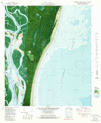 Download a high-resolution, GPS-compatible USGS topo map for Cumberland Island South, GA (1981 edition)