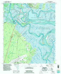 preview thumbnail of historical topo map of Darien, GA in 1993
