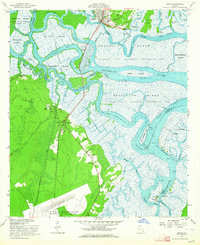 1956 Map of Darien, GA, 1964 Print