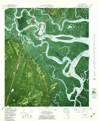 preview thumbnail of historical topo map of Darien, GA in 1979