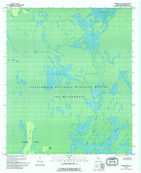 Download a high-resolution, GPS-compatible USGS topo map for Dinner Pond, GA (1994 edition)