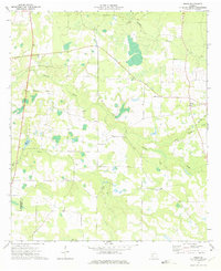 preview thumbnail of historical topo map of Worth County, GA in 1973
