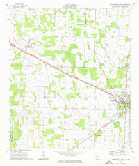 preview thumbnail of historical topo map of Seminole County, GA in 1974
